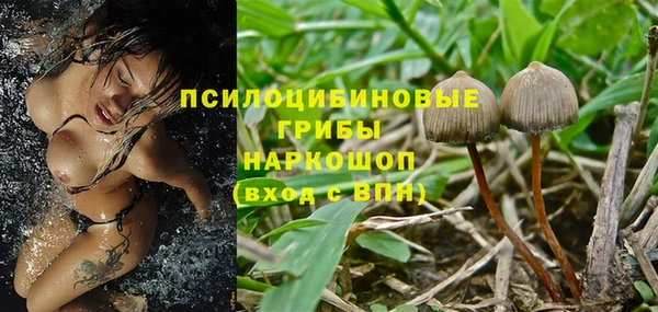 spice Алексеевка