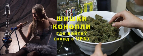 сатива Абинск