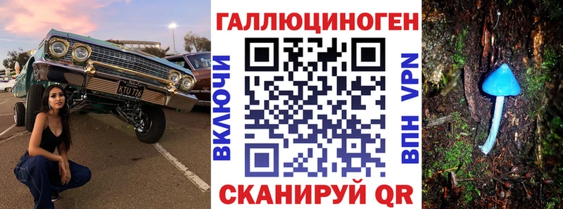 hydra вход  Кимовск  Псилоцибиновые грибы MAGIC MUSHROOMS 